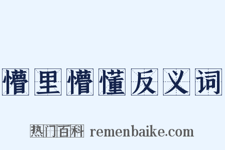 懵里懵懂反义词是什么意思的图片